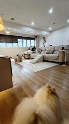 Blk 495B Tampines Street 43 (Tampines), HDB Executive #633773991